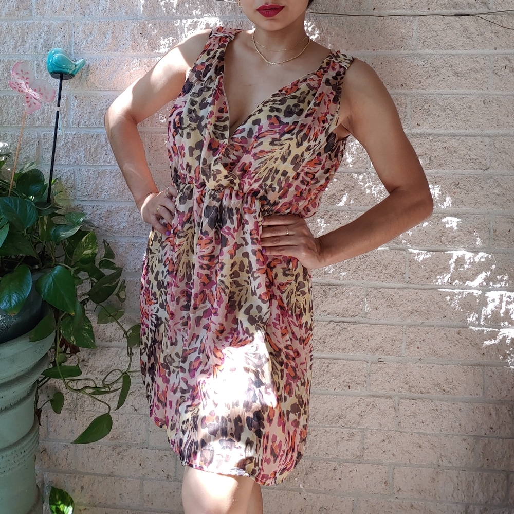 Sheer Party Dress